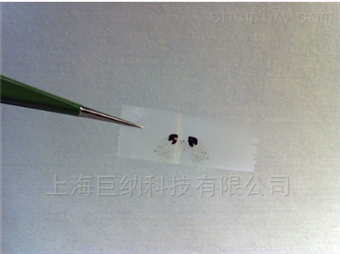 2D SemiconductorGO 氧化石墨烯 （Graphene Oxide）