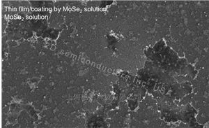 Monolayer MoSe2 Solution單層二硒化钼溶液